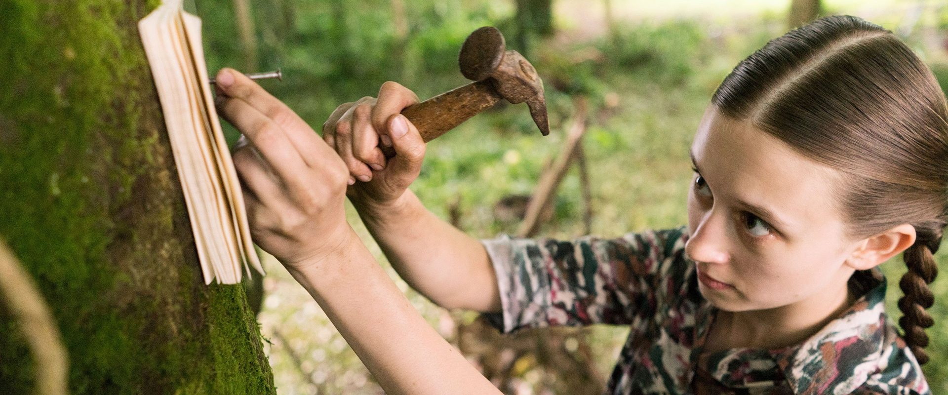 We Have Always Lived in the Castle background