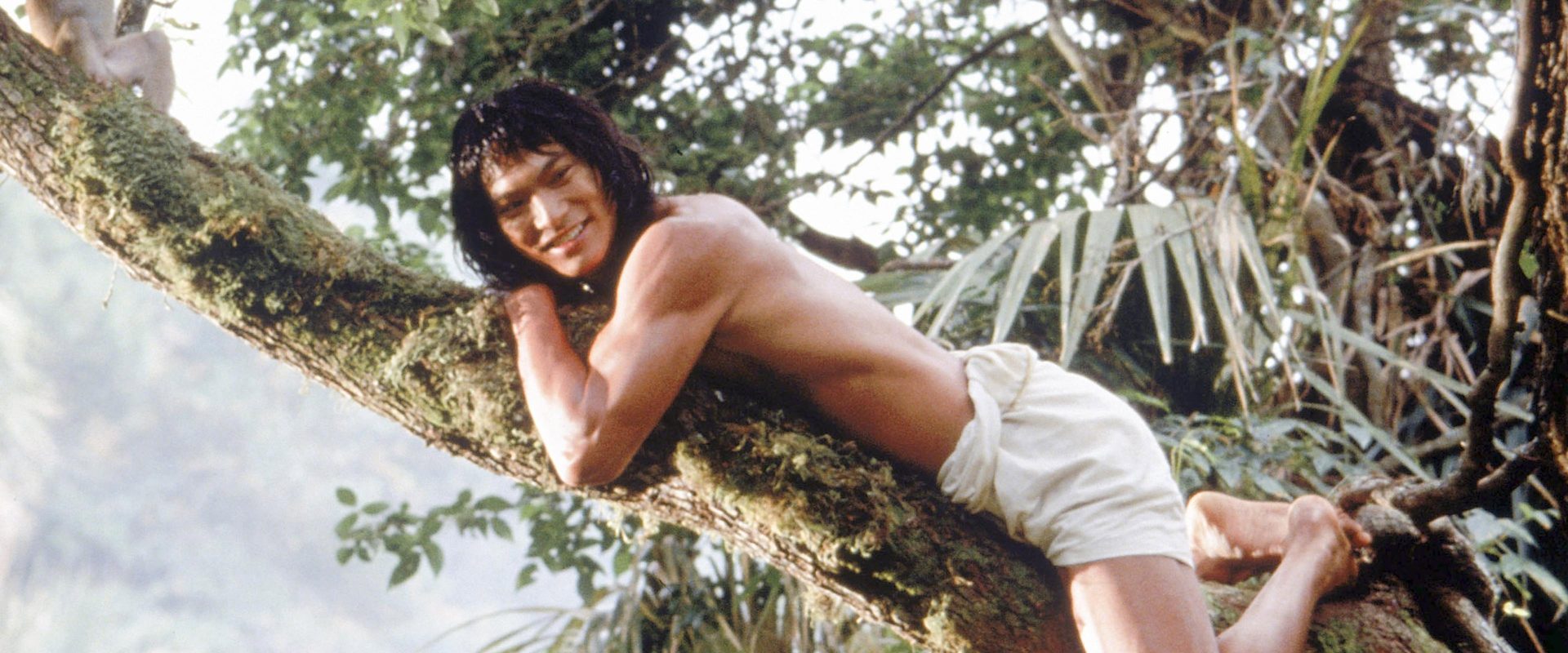 The Jungle Book background