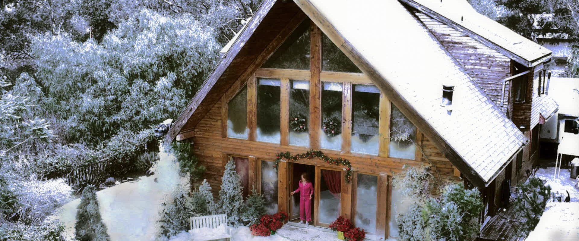 A Snow Globe Christmas background