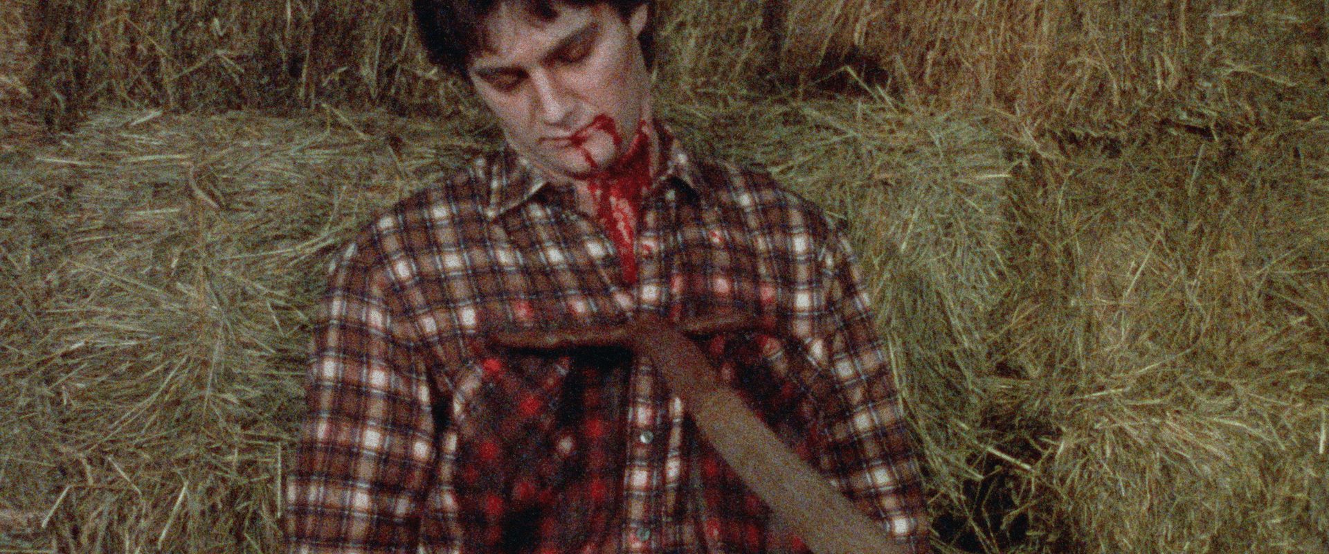 FleshEater: Revenge of the Living Dead background