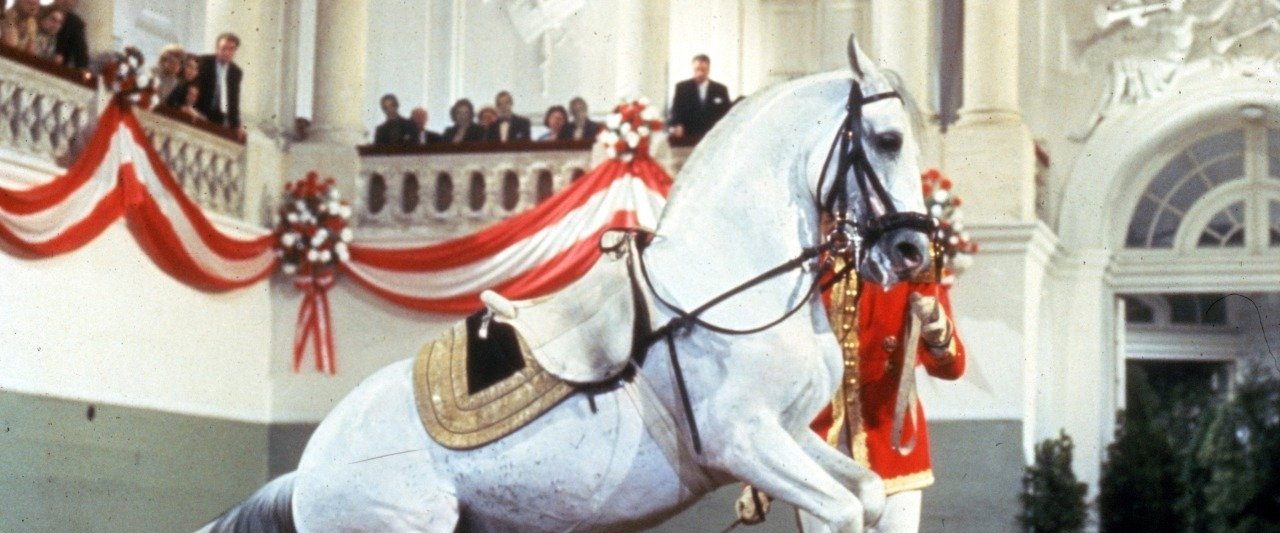 Miracle of the White Stallions background