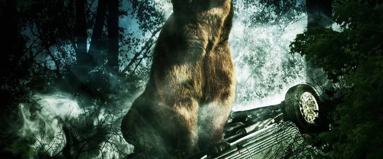 Bear background