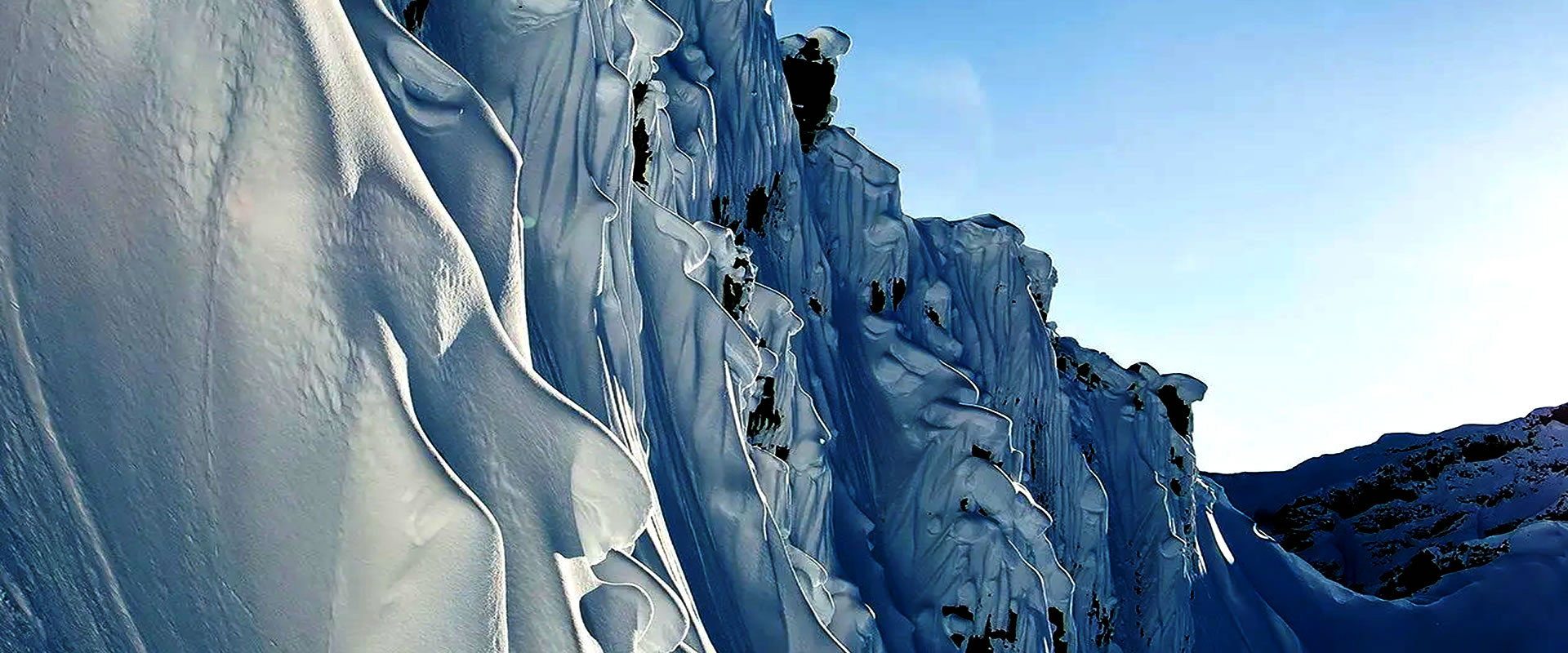 The Art of Flight background