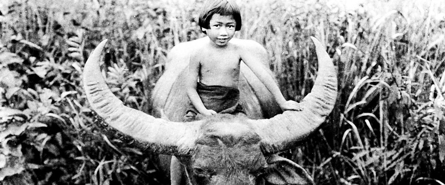 Chang: A Drama of the Wilderness background