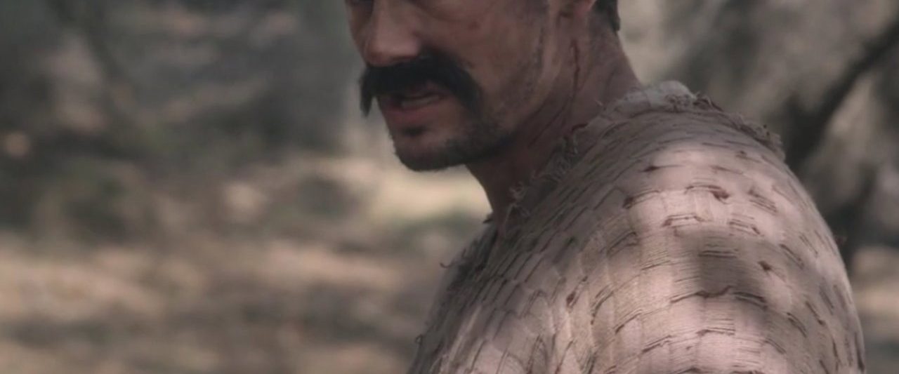 Don Quixote: The Ingenious Gentleman of La Mancha background
