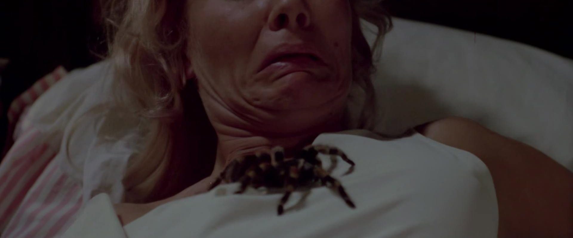 Kiss of the Tarantula background