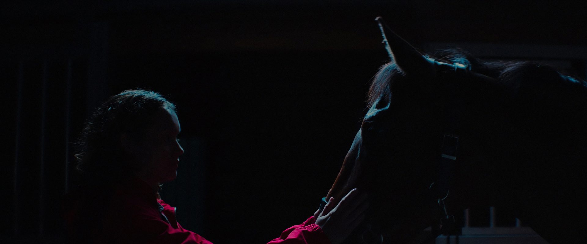 Thoroughbreds background