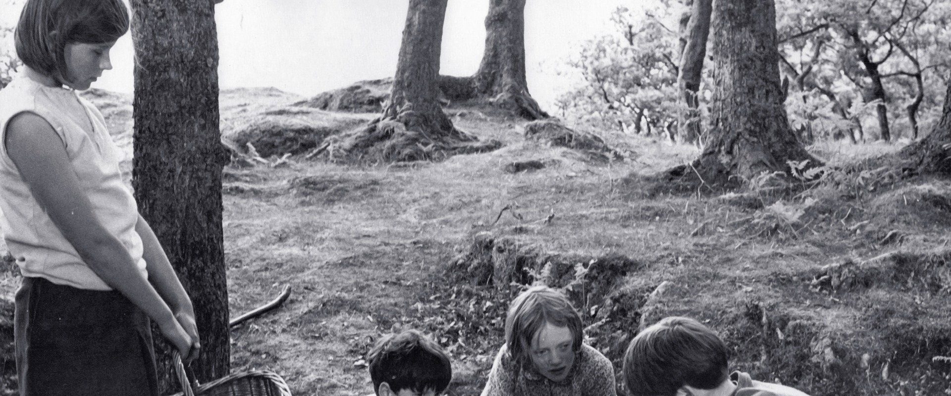 Swallows and Amazons background