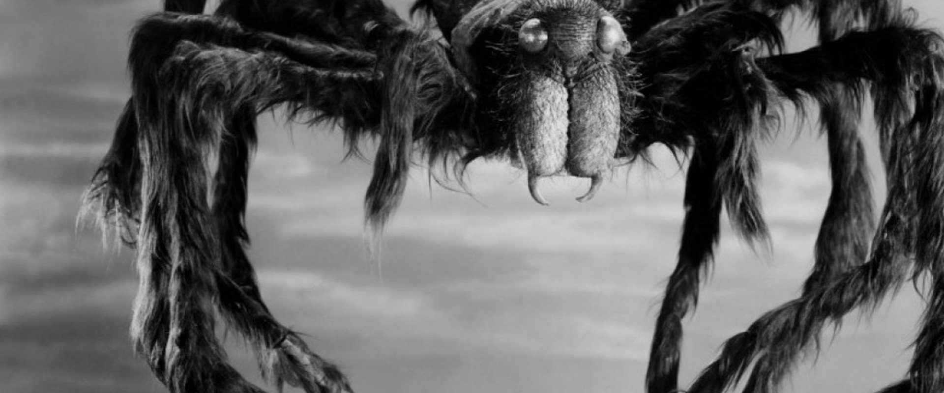 Macabre background