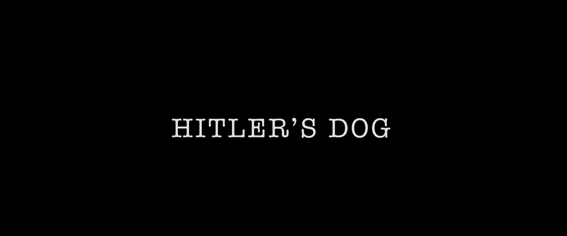 Norm Macdonald: Hitler's Dog, Gossip & Trickery background