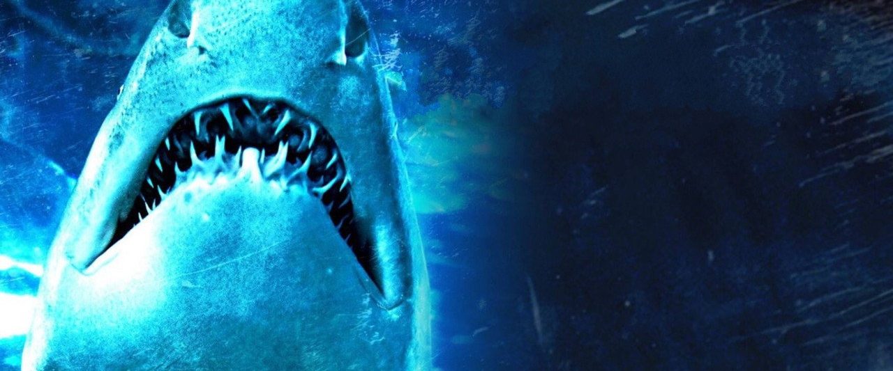 Dam Sharks! background