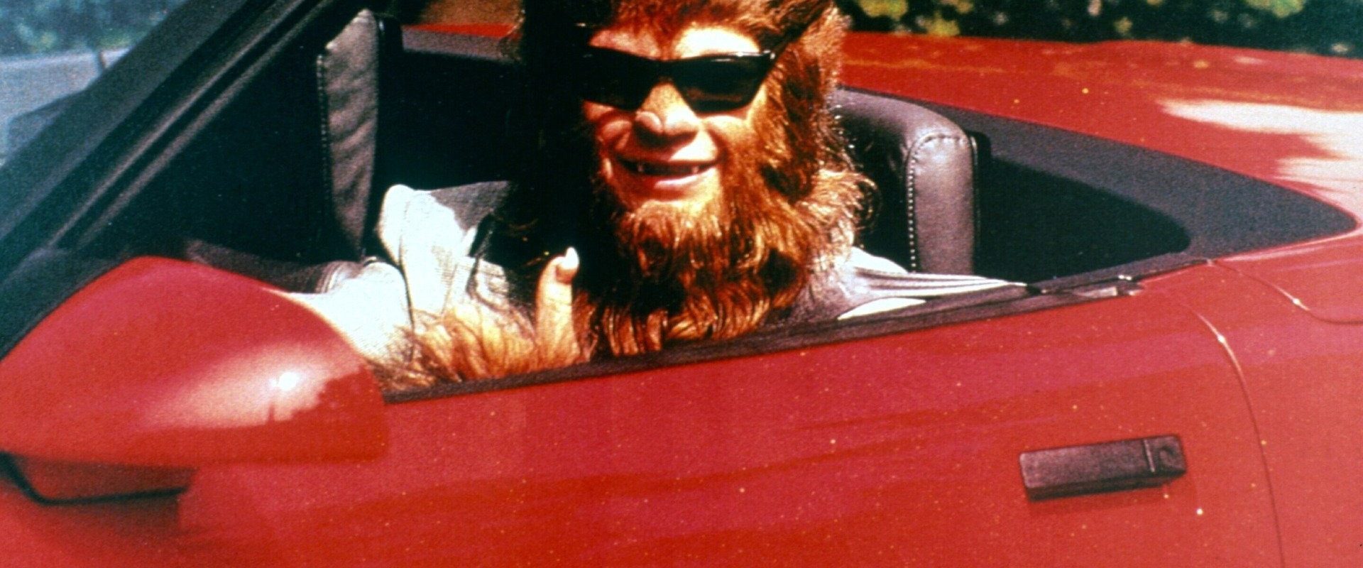 Teen Wolf Too background