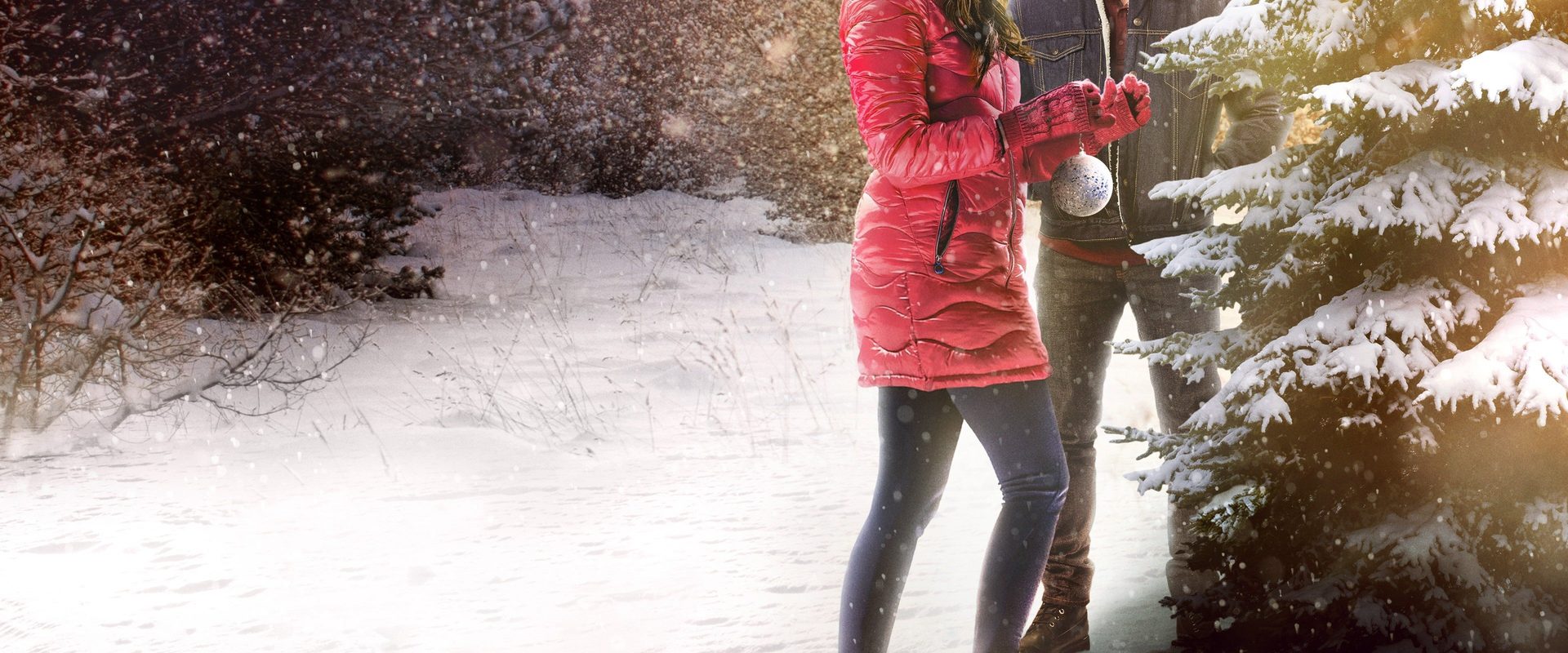 The Christmas Promise background