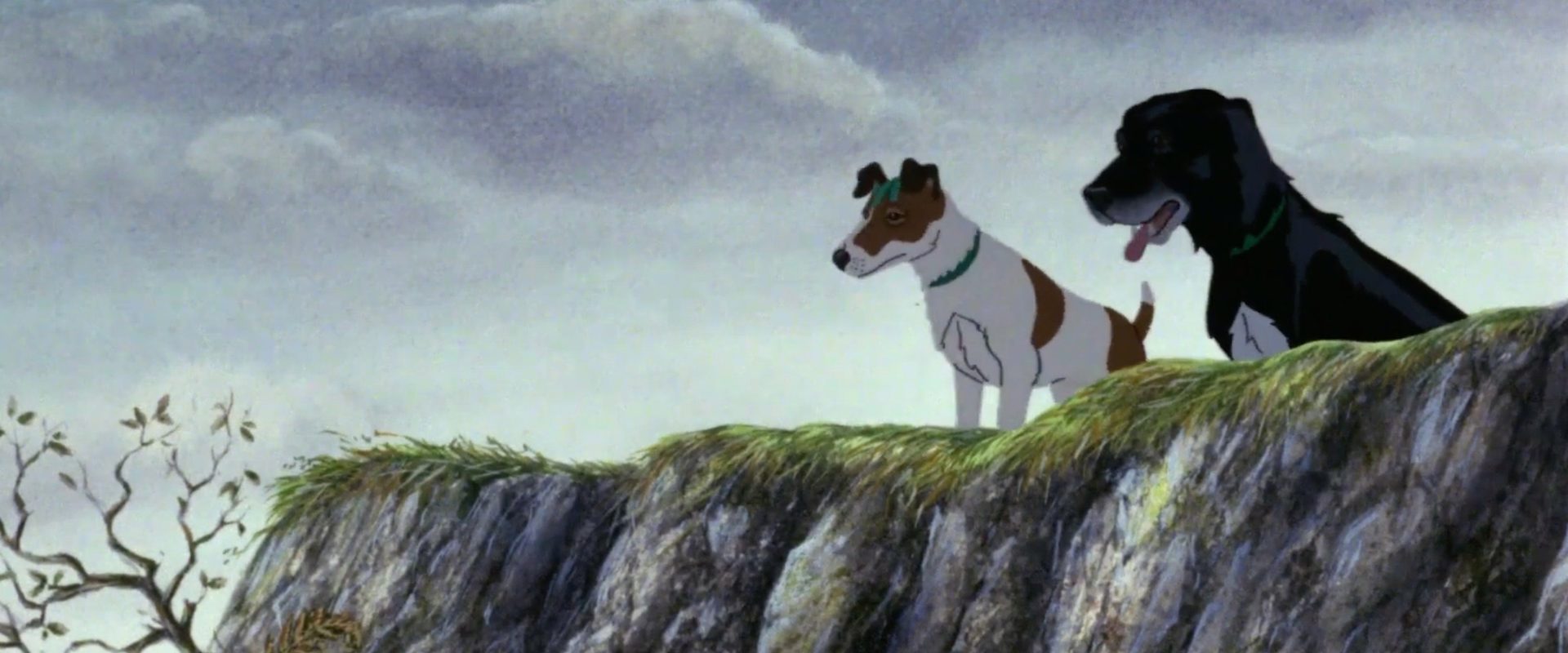 The Plague Dogs background