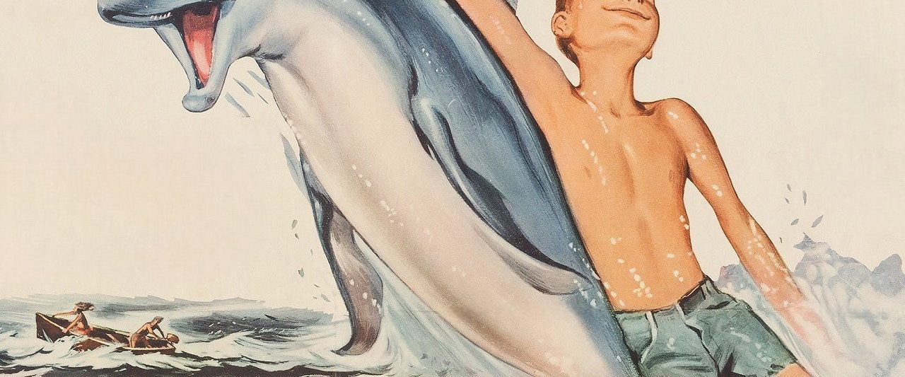 Flipper background