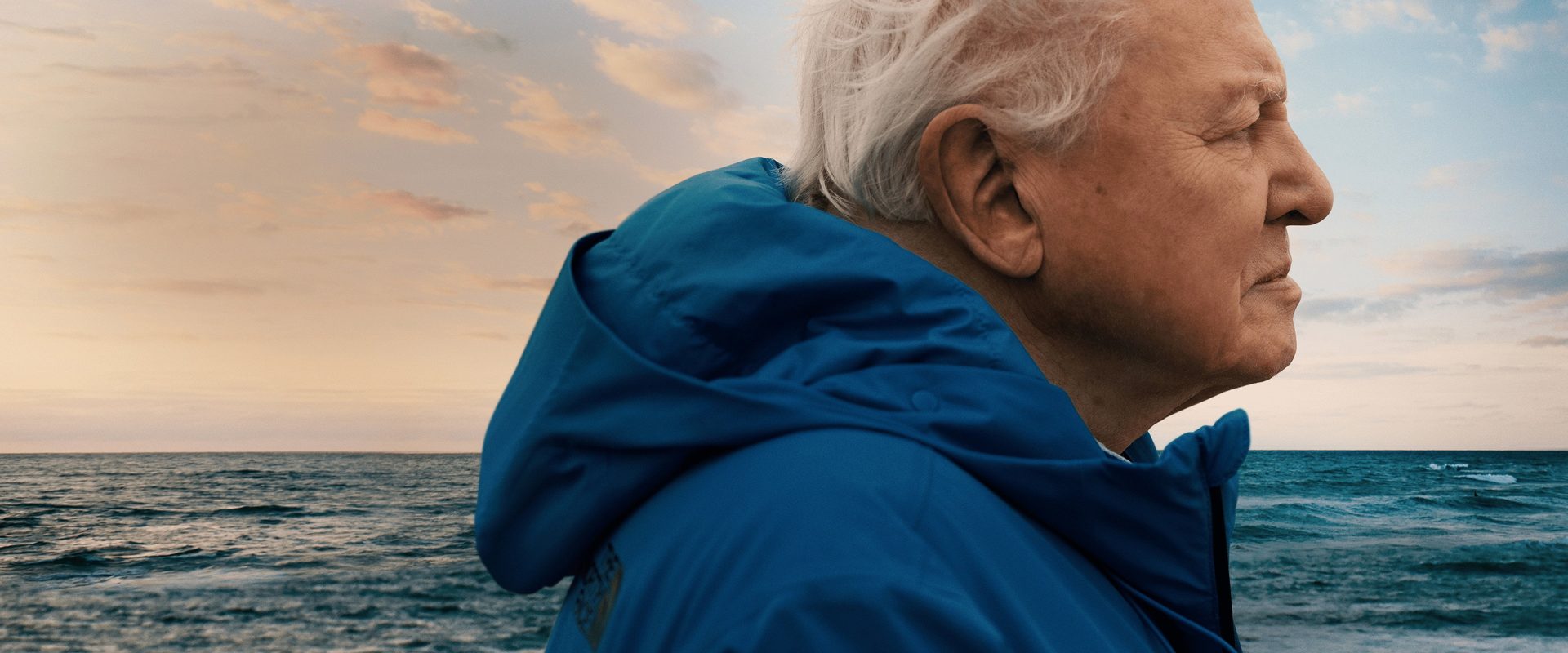 Ocean with David Attenborough background