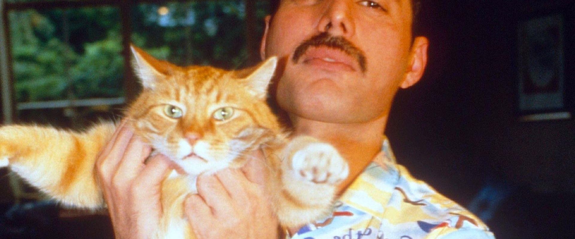 Freddie Mercury: The Great Pretender background