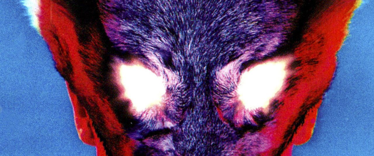 Deadly Dreams background