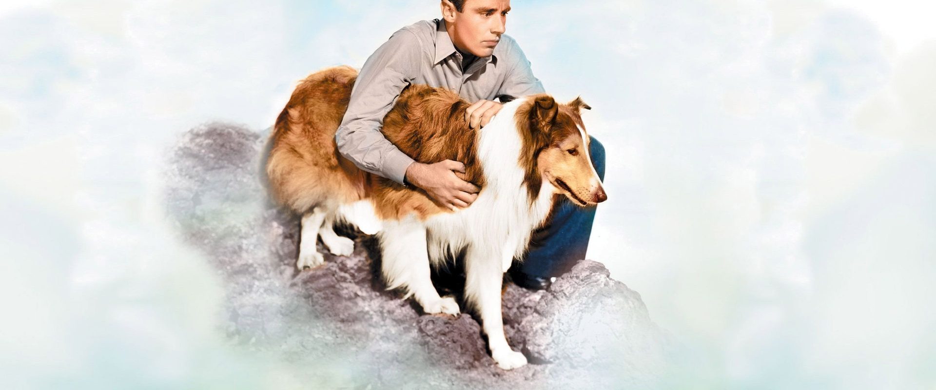 Son of Lassie background