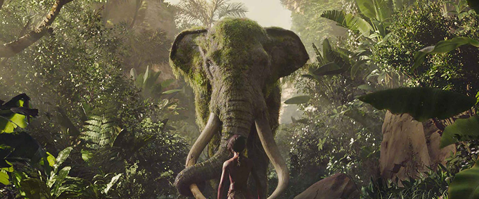 Mowgli: Legend of the Jungle background