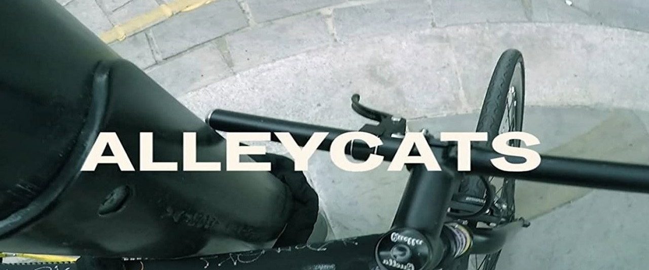 Alleycats background