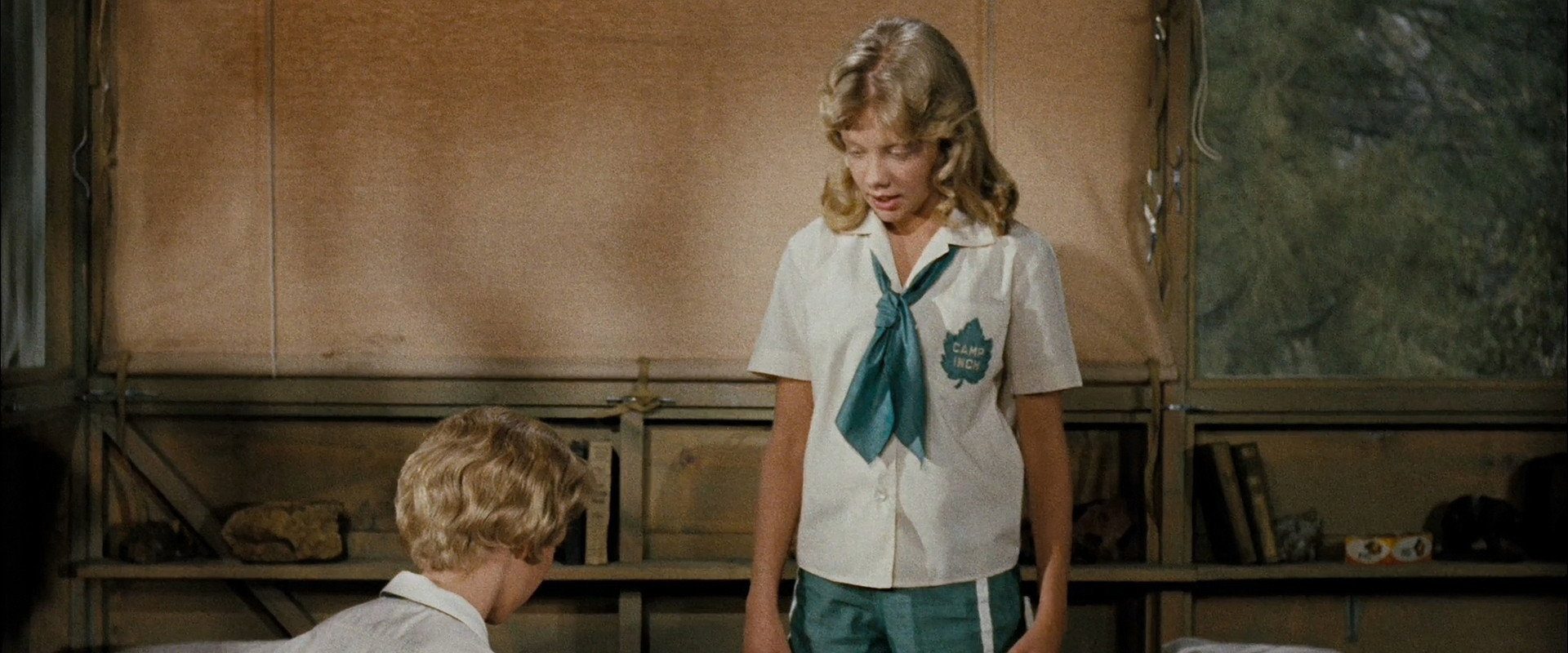 The Parent Trap background