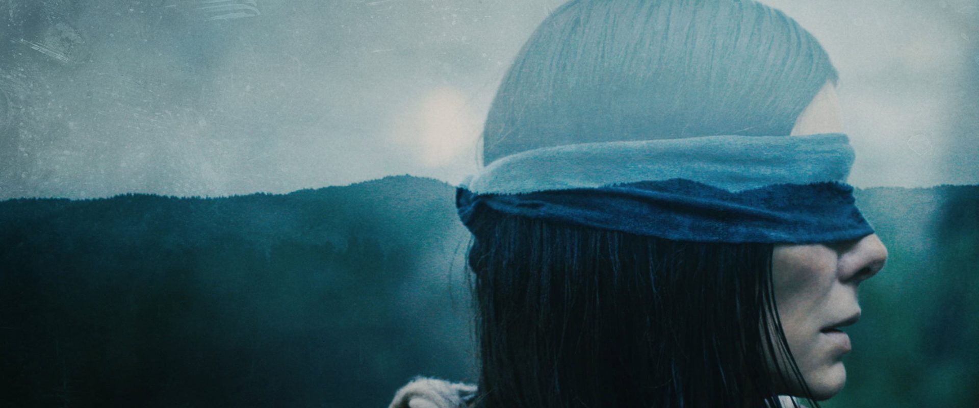 Bird Box background