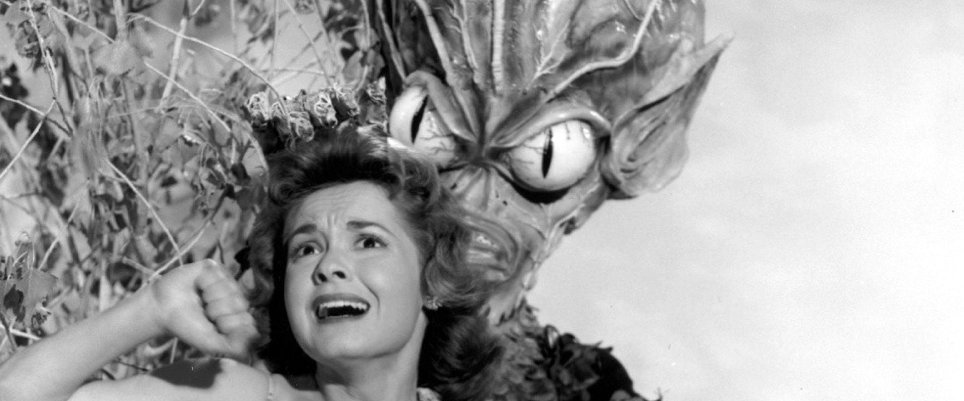 Invasion of the Saucer Men background
