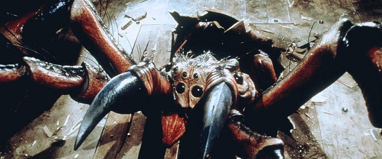 Spiders background