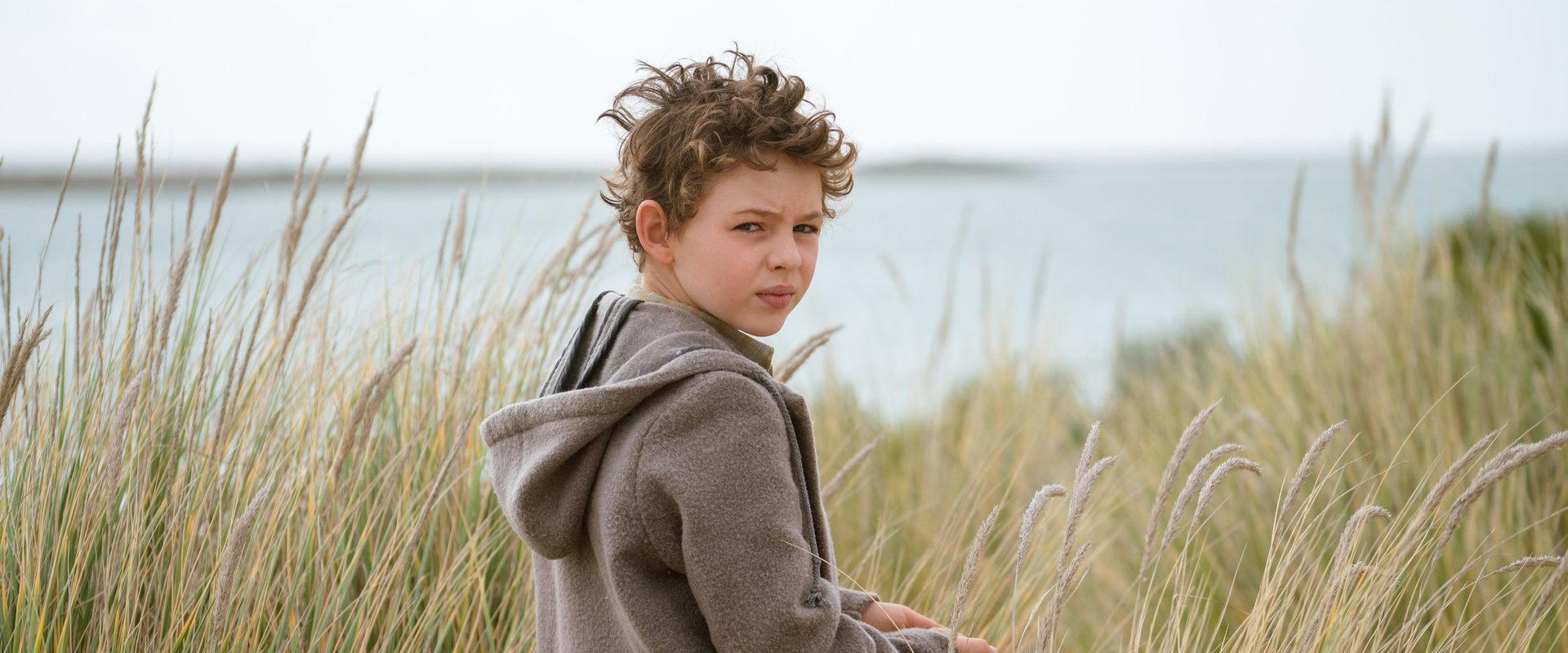 Storm Boy background