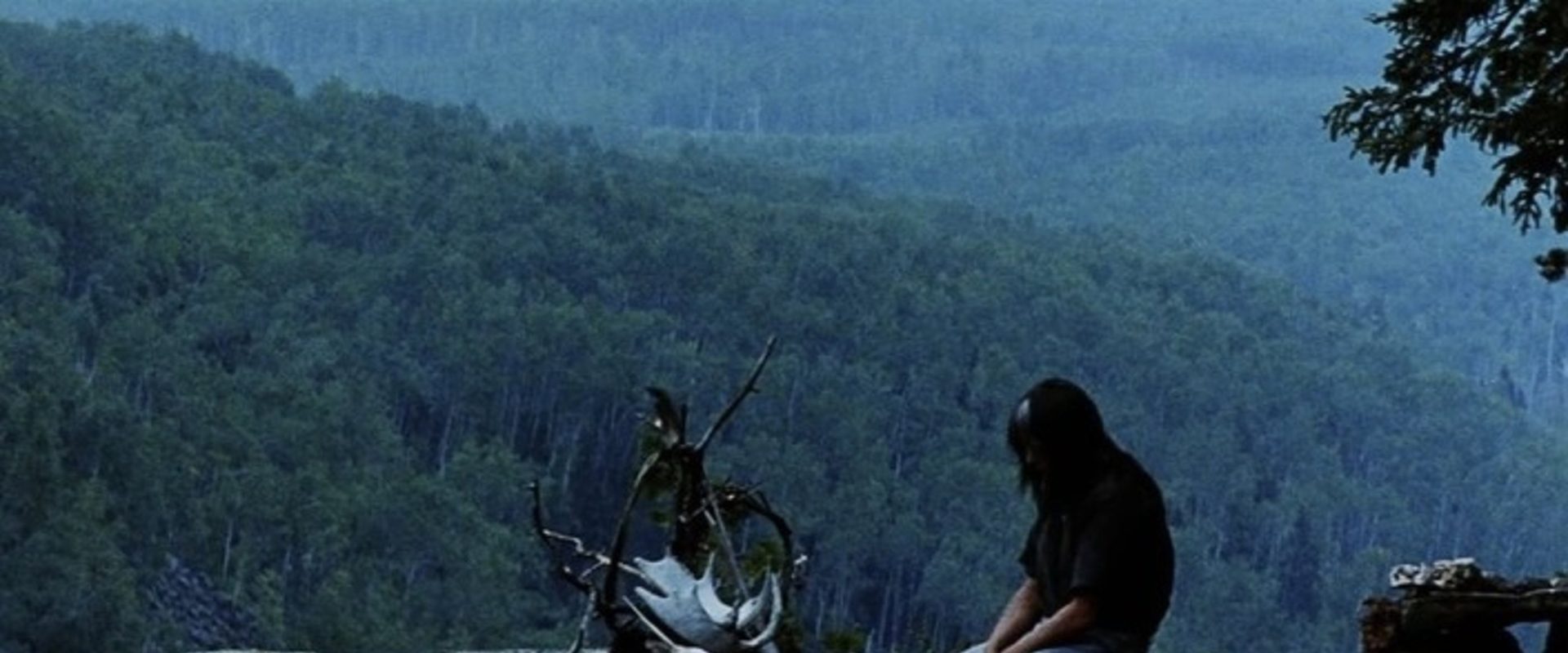 Clearcut background