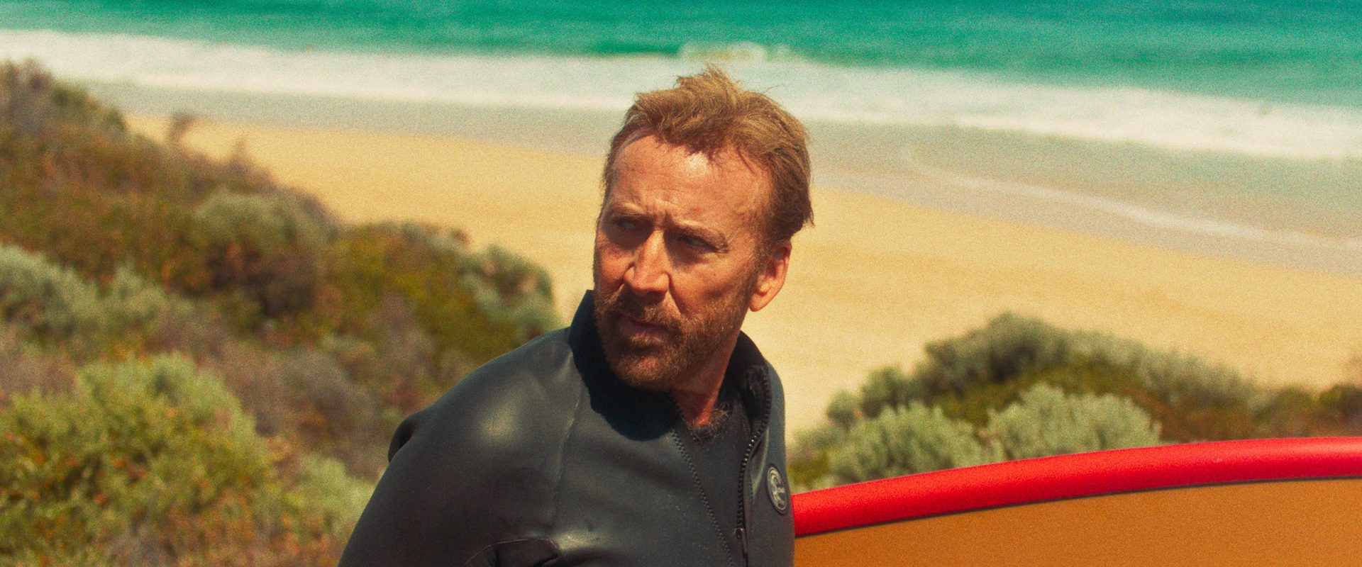 The Surfer background
