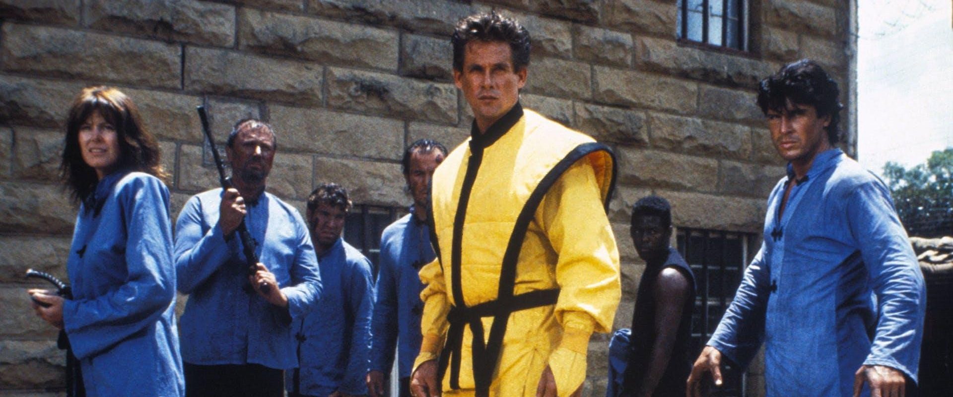 American Ninja 4: The Annihilation background
