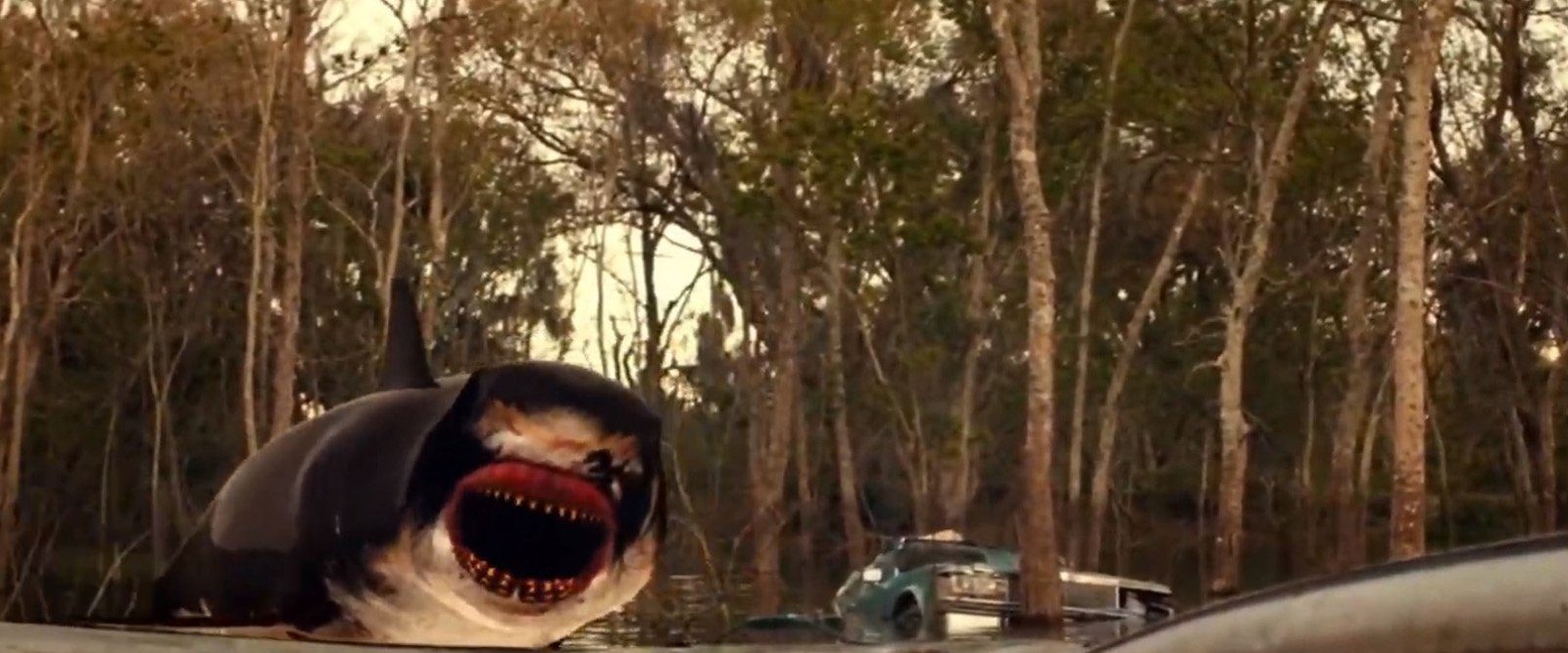 Trailer Park Shark background