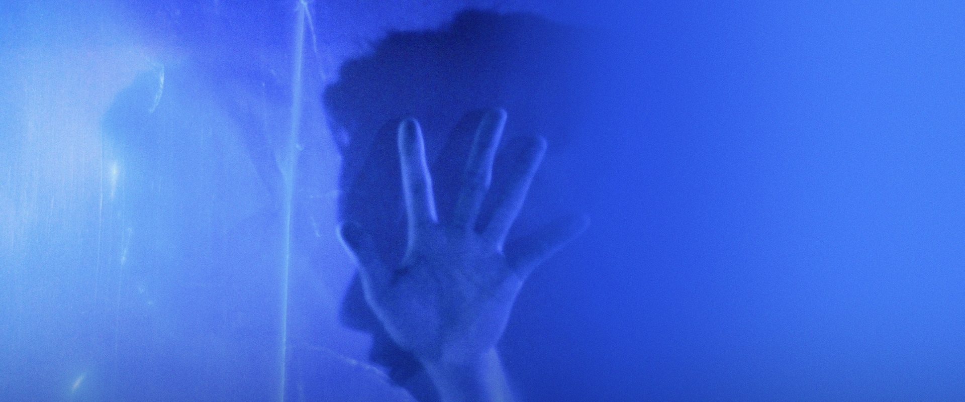 Sequin in a Blue Room background
