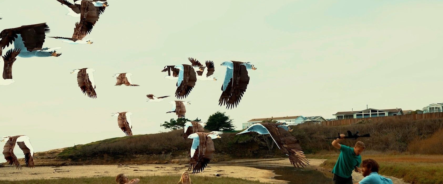 Birdemic 3: Sea Eagle background