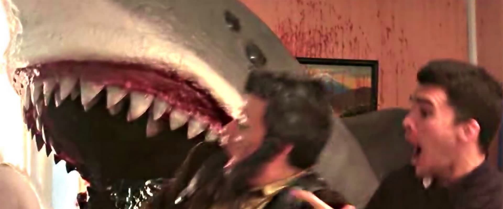 House Shark background