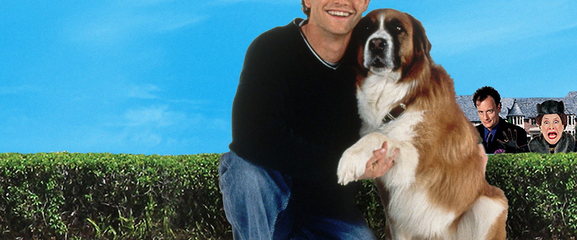 You Lucky Dog background