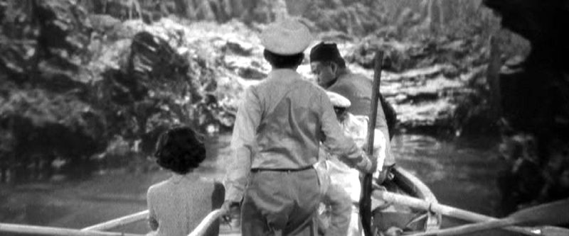 The Son of Kong background