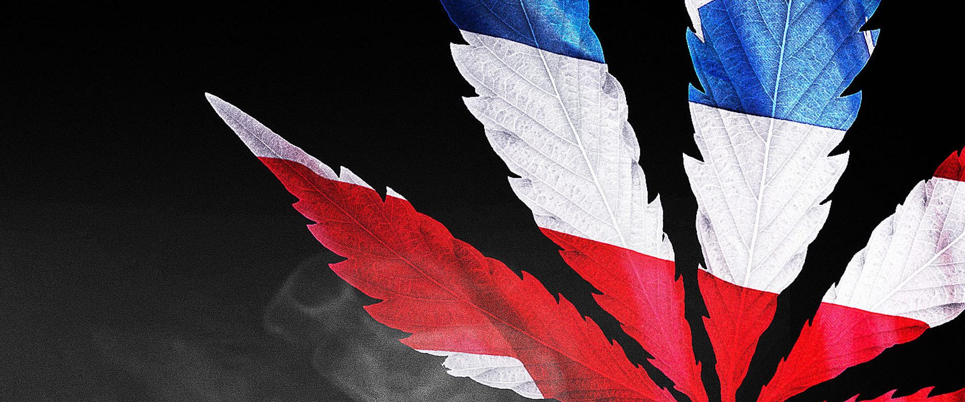 High: The True Tale of American Marijuana background