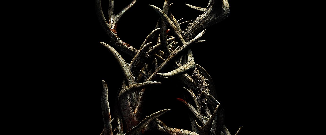 Antlers background