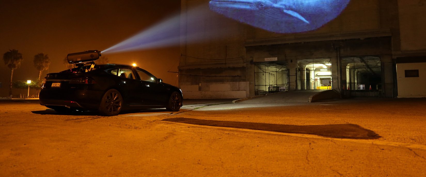 Racing Extinction background