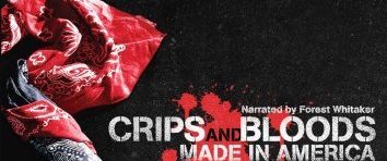Crips and Bloods: Made in America background