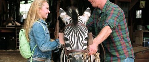 Racing Stripes background