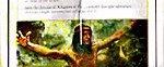 Greystoke: The Legend of Tarzan, Lord of the Apes background