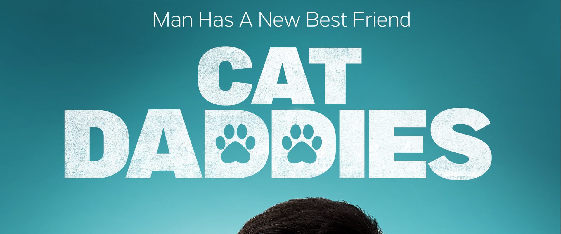 Cat Daddies background