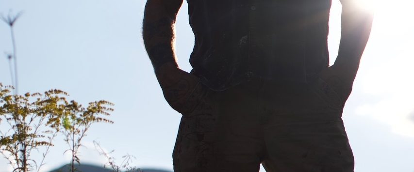 Heart of the Bear background
