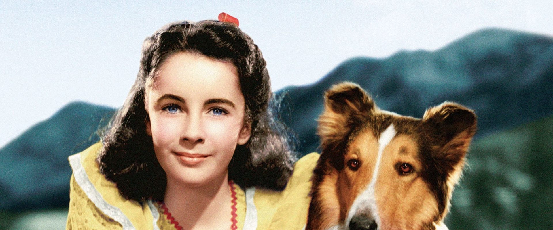 Courage of Lassie background