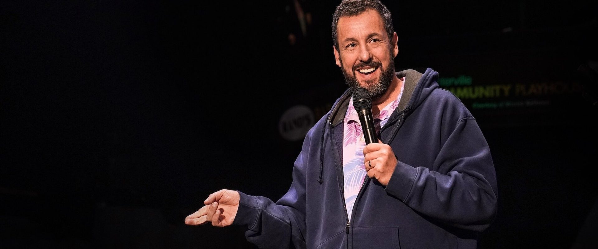 Adam Sandler: Love You background