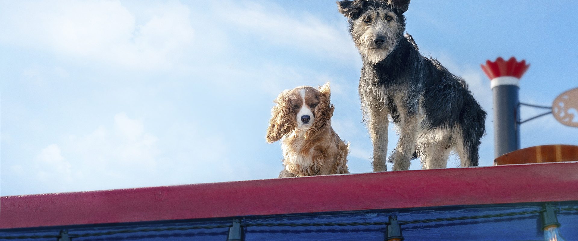 Lady and the Tramp background